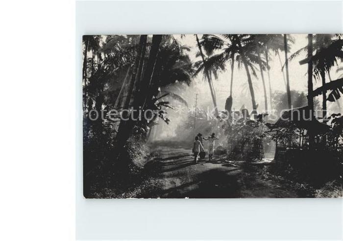 Suedafrika Southafrica RSA Plantagen Motiv