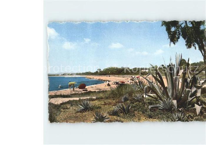 Hammamet Un coin de la Plage