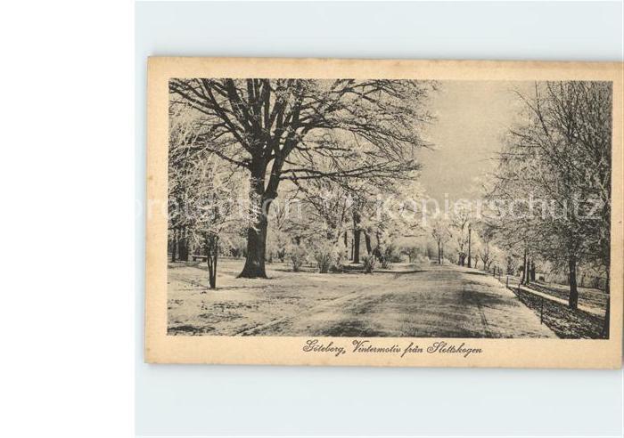 Goeteborg Vintermotiv fran Slottskogen