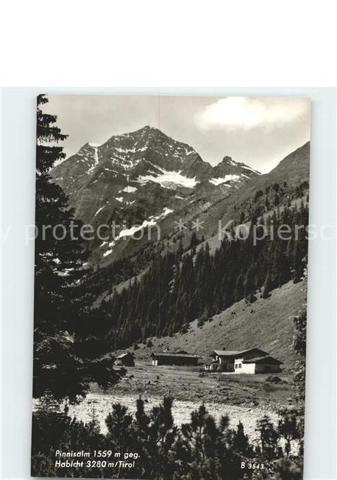 Neustift Stubaital Tirol Pinnisalm mit Habicht
