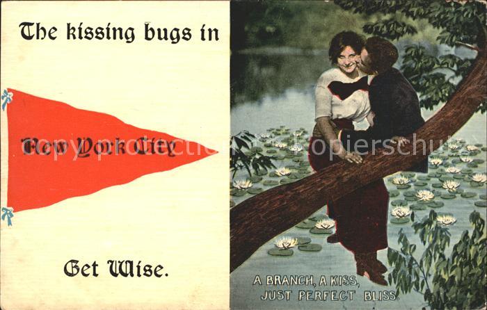 New York City Kissing bugs Paar auf Baumstamm