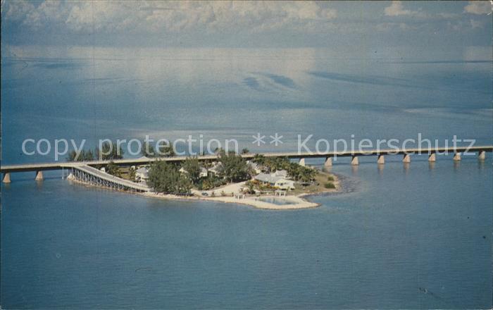 Pigeon Overseas Highwaybridge