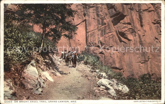 Grand Canyon Bright Angel Trail Pferde