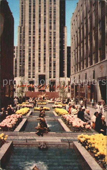 New York City Rockefeller Center Flower Plaza