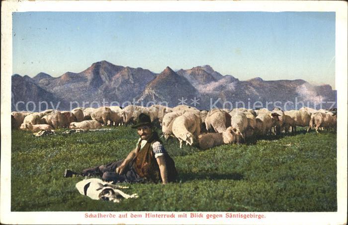 Hirte Schafherde Hinterruck Säntisgebirge