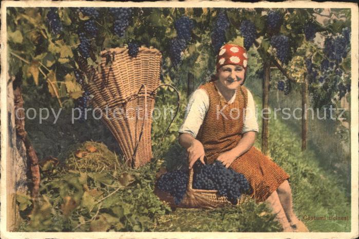 Ernte Landwirtschaft Trauben Winzerin