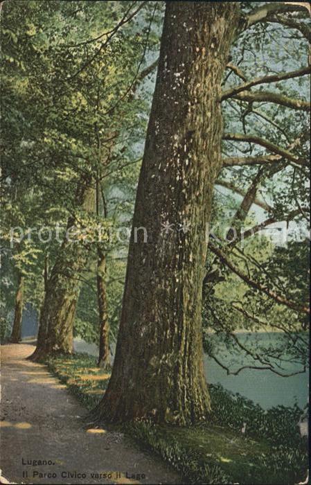 Baeume Trees Lugano Parco Civico