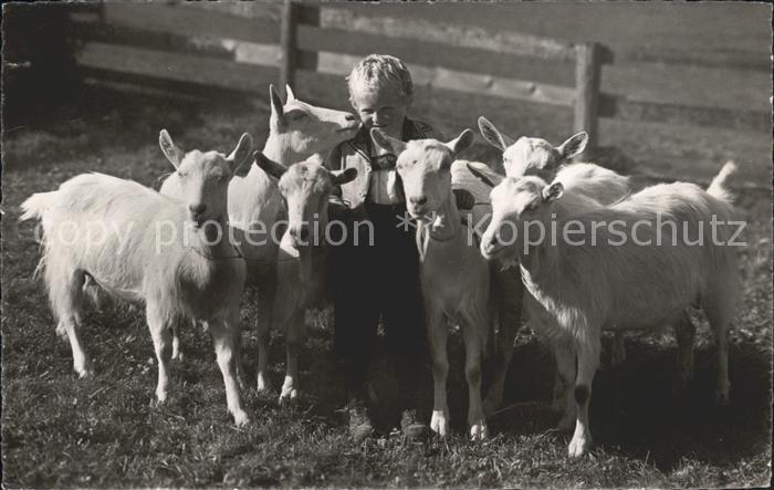 Ziege Ziegen Kind