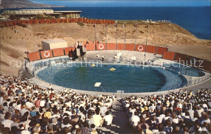 Delfine Delphine Dolphins Dauphins Delfines Sea Arena Marineland of the Pacific