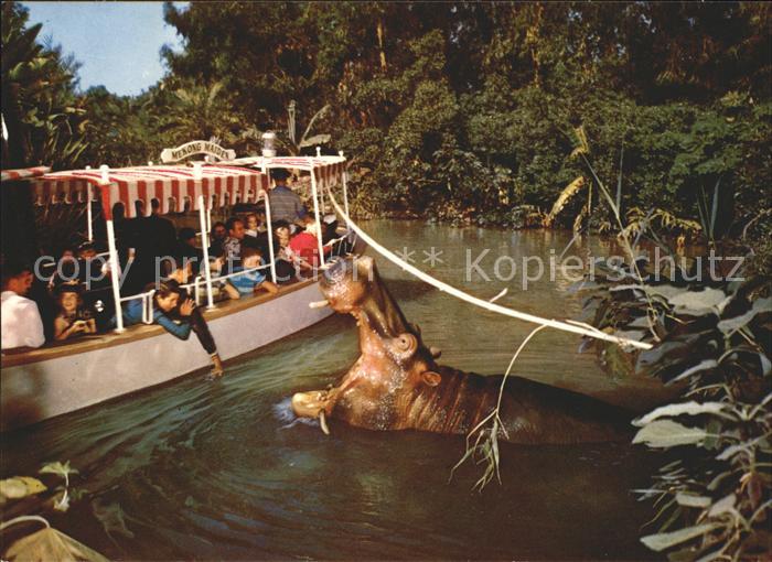 Disneyland Orlando The Explorer Boat hippo Rivers of the World Nilpferd