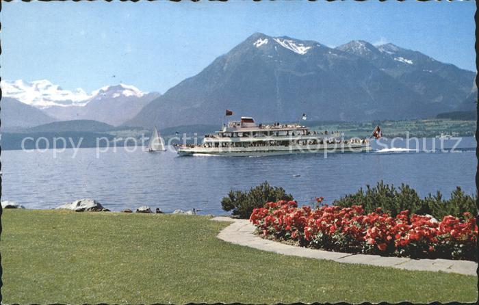 Motorschiffe M/S Bubenberg Hilterfingen