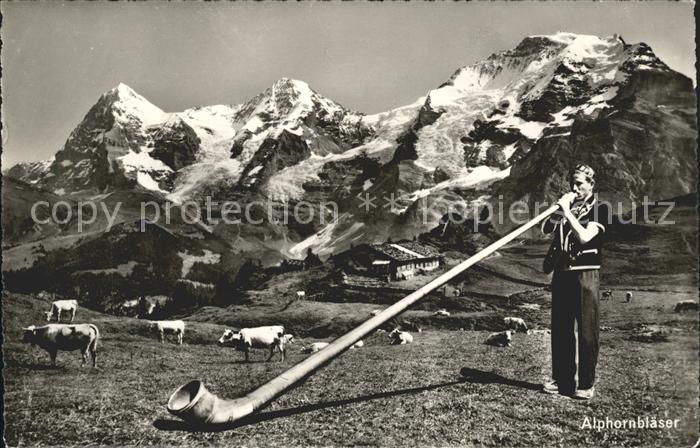 Alphorn Alphornbläser