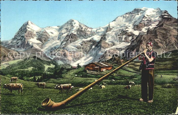 Alphorn Alphornblaeser Kuehe