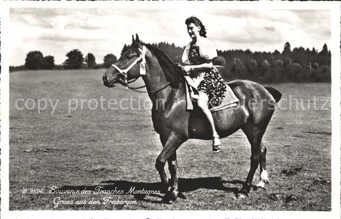 Pferde Frau reiten Franches Montagnes Freiberg