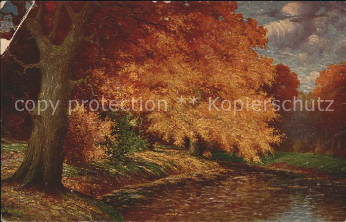 Hoy Walter Herbststimmung Nr. 1126 Baum