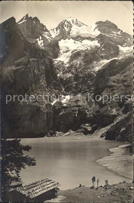 Blumen Kandersteg Öschinensee Blümlisalp