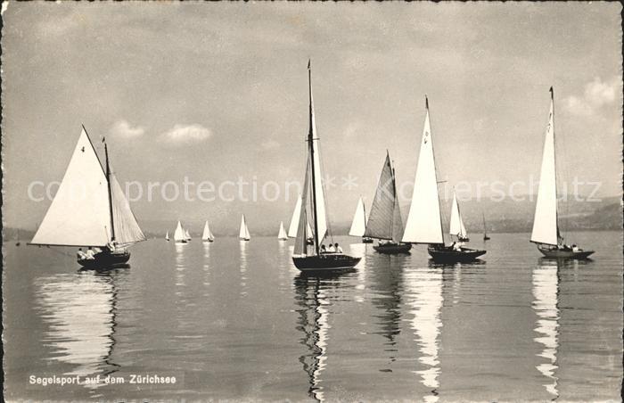 Segeln Segelboote Segelsport Zürichsee