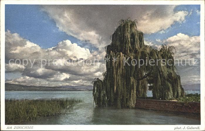 Foto Gaberell J. Nr. 8895 Zürichsee