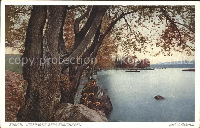 Foto Gaberell J. Nr. 7504 Zürich Uferpartie Zürichhorn