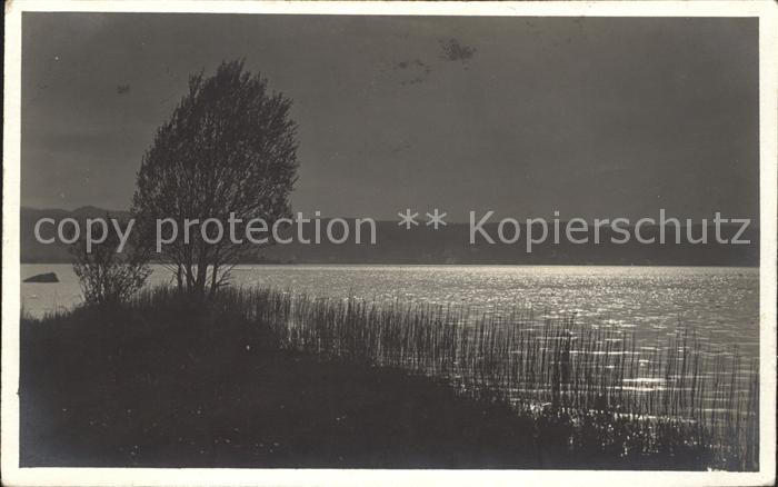 Foto Gaberell J. Nr. 2189 Ufenau