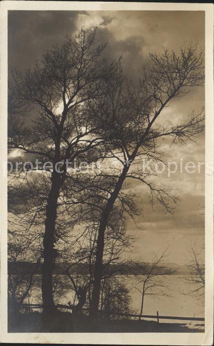 Foto Gaberell J. Nr. 2710 Bei der Ufenau