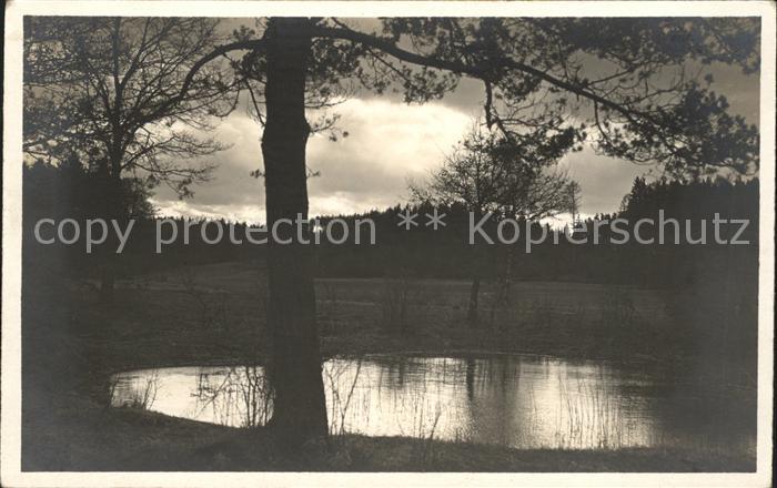 Foto Gaberell J. Nr. 2141 See Wald Bäume