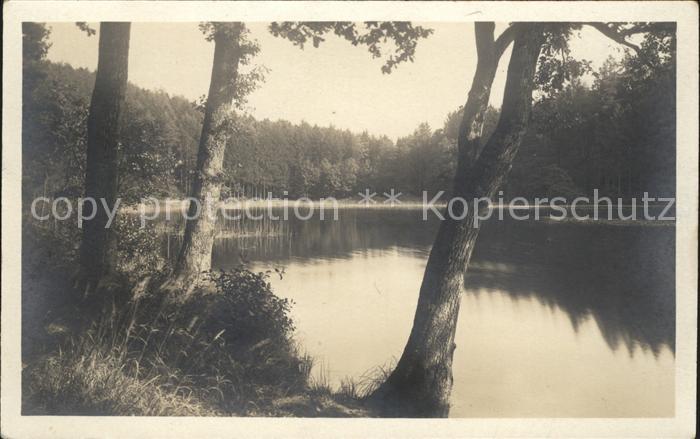 Foto Gaberell J. Nr. 2079 Am Waldweiher