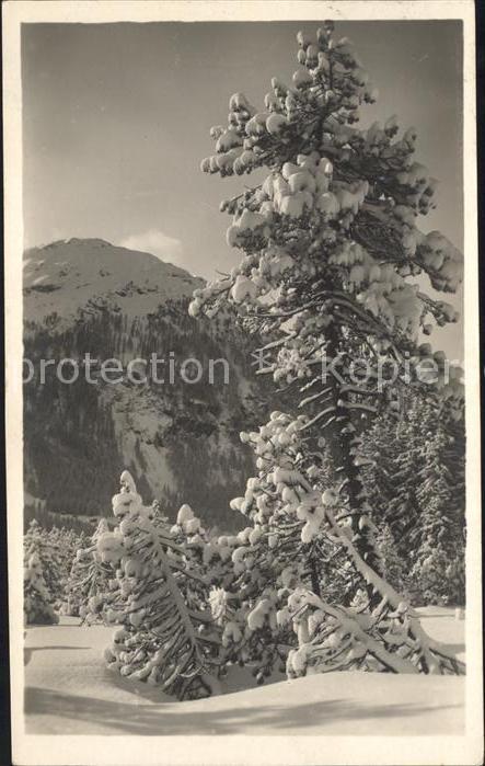 Foto Photoglob Wehrli Zuerich Nr. 3094 Bäume Winter Schnee