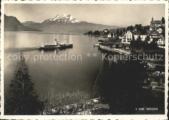 Dampfer Binnenschifffahrt Viktoria Weggis