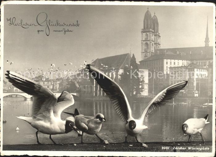 Moewen Seagulls Mouettes Gabbiani Gaviotas-- Glueckwunsch Neujahr Zuerich