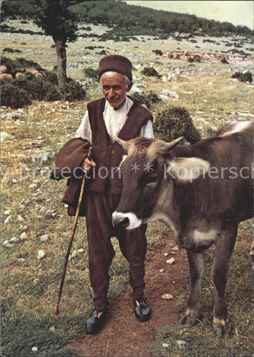 Kuehe Kuh Bauer Bulgarien Ilja Rogoffs Knobla