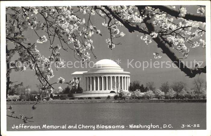 Washington DC Jefferson memorial cherry blossoms