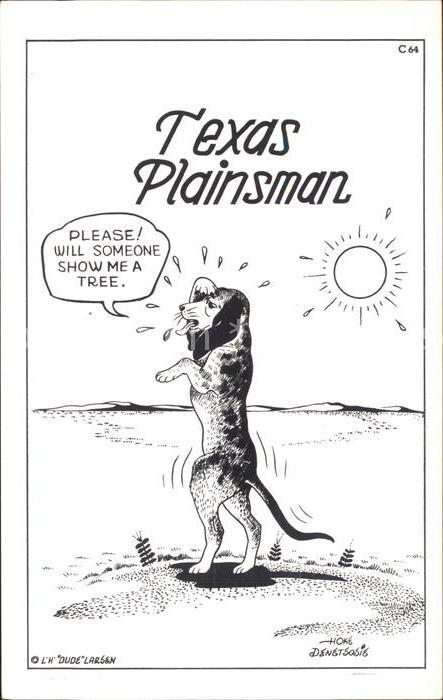 Utah US-State Texas plainsman
