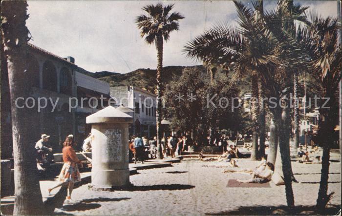 Santa Catalina Island Beach