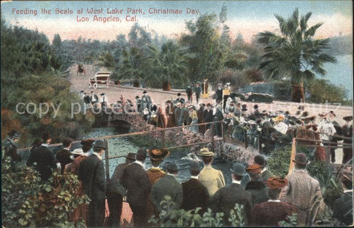 Los Angeles California West Lake Park Christmas Day Seals