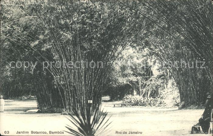 Rio de Janeiro Jardim Botanico Bambus