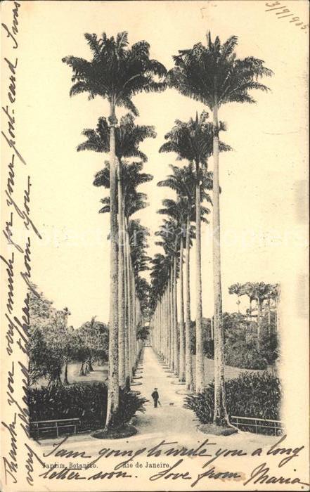 Rio de Janeiro Jardim Botanico