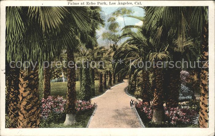 Los Angeles California Echo Park Palmen