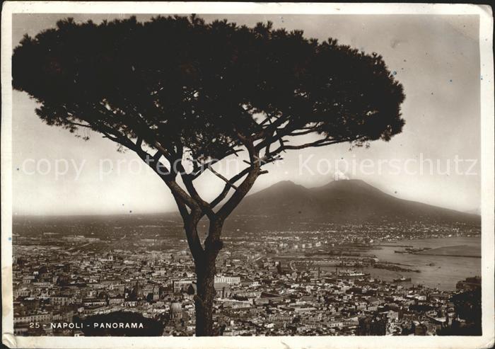 Napoli Neapel Panorama