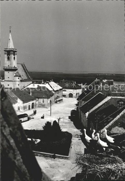 Rust Burgenland DorfpartieStörche