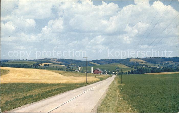 Mount Vernon New York Landscape