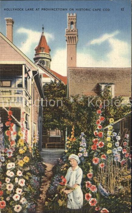 Provincetown Hollyhock Lane Flowers Cap Cod