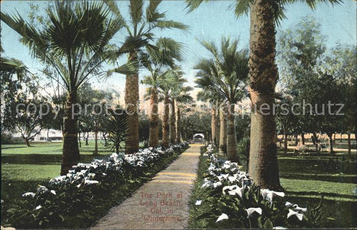 Long Beach California Park in wintertime