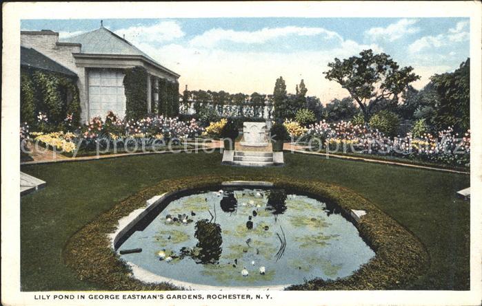 Rochester New York Lily Pond in George Eastman's Gardens