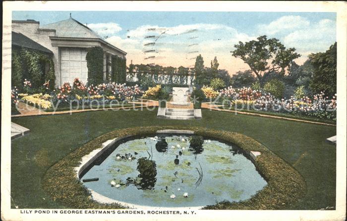 Rochester New York Lily Pond in George Eastman's Gardens
