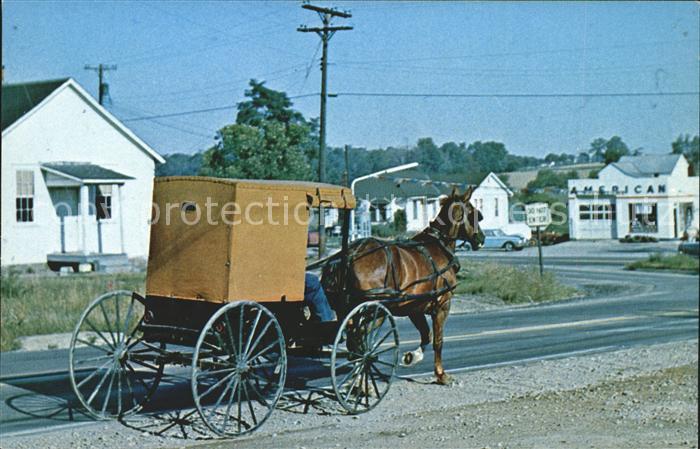 Pennsylvania US-State Amish horse and buggy