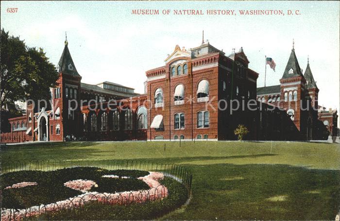 Washington DC Museum of Natural History
