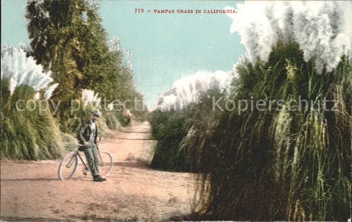 California US-State Pampas Grass Mann mit Fahrrad