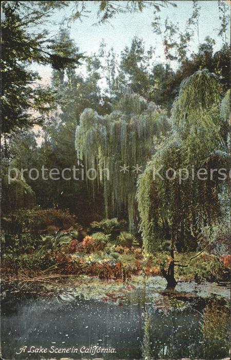 California US-State Lake