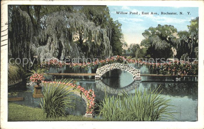 Rochester New York Willow Pond East Ave